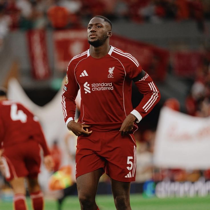 Madrid Zone tweet media