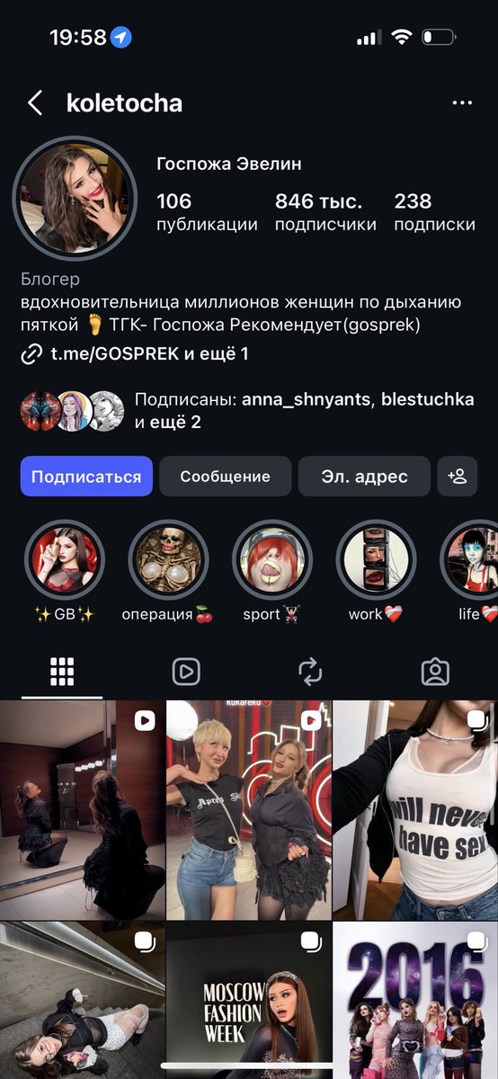 Элли в стране щитпоста tweet media