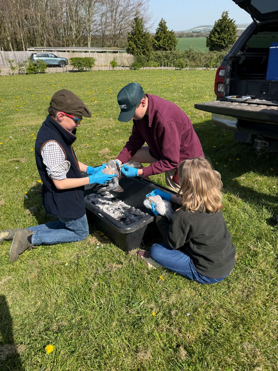 BASC South West tweet media