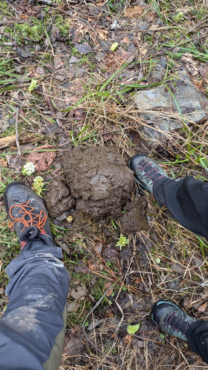 Arnau Tolrà tweet media