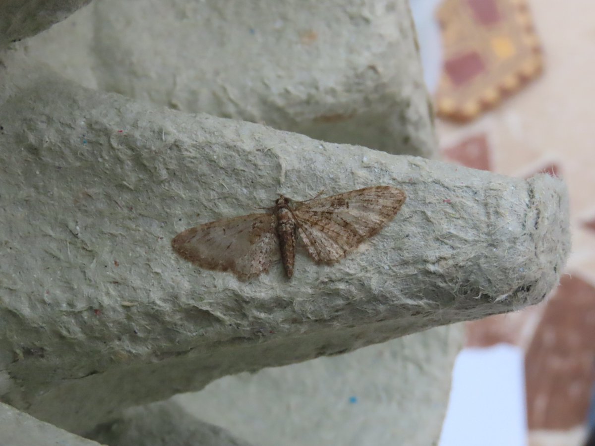 John Williams tweet media