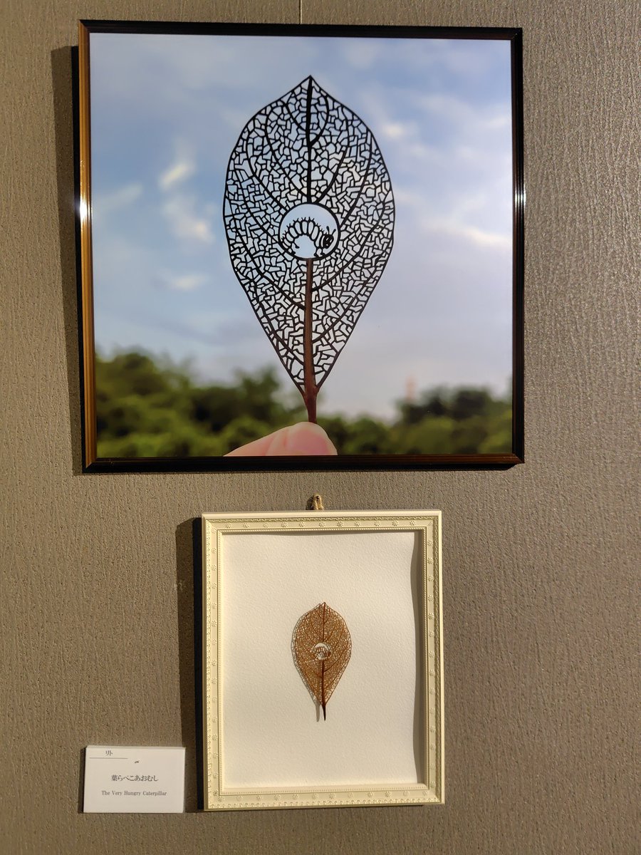 sanagi.unagi tweet media