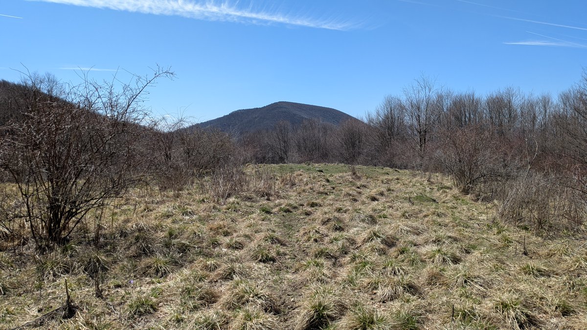 Arnau Tolrà tweet media