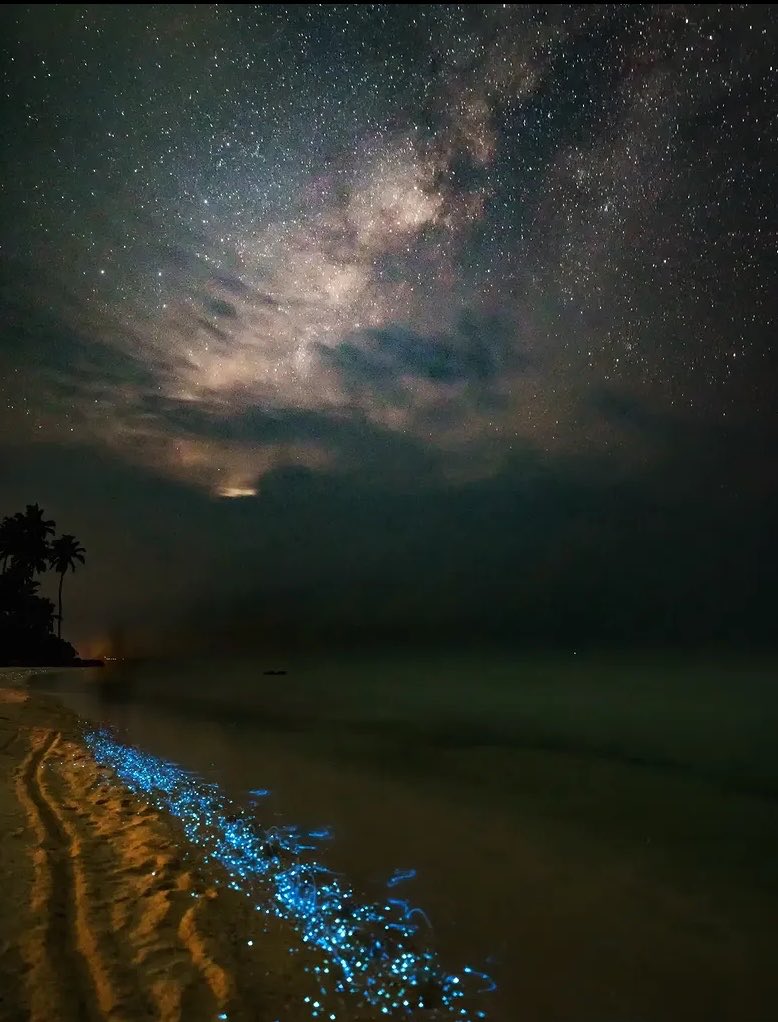 Stunning visual of Milky way galaxy and bioluminescence captured together ✨ 

📍 Lakshadweep, India