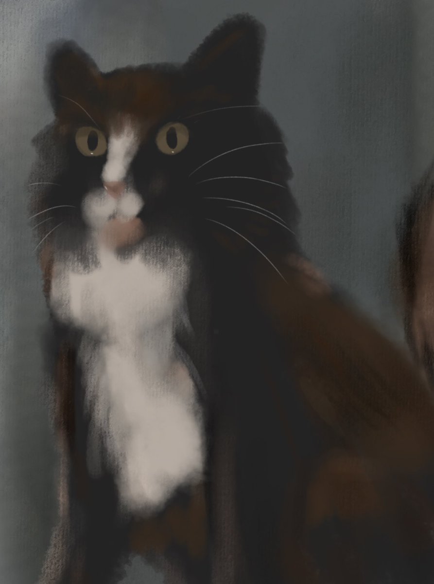 じゅひ tweet media