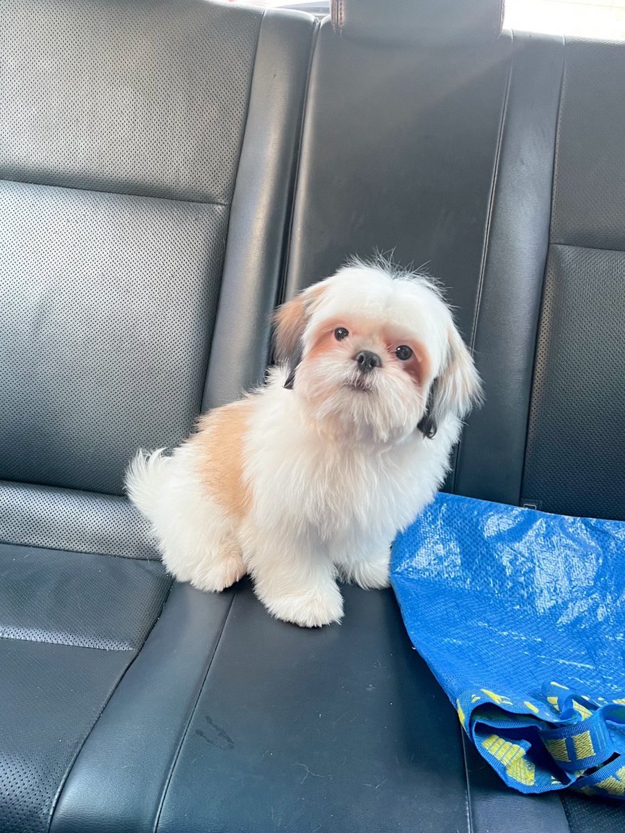 ฮูอายู ยู้ฮู ยู้ฮู 💦👶💚💙🦦🐇 tweet media