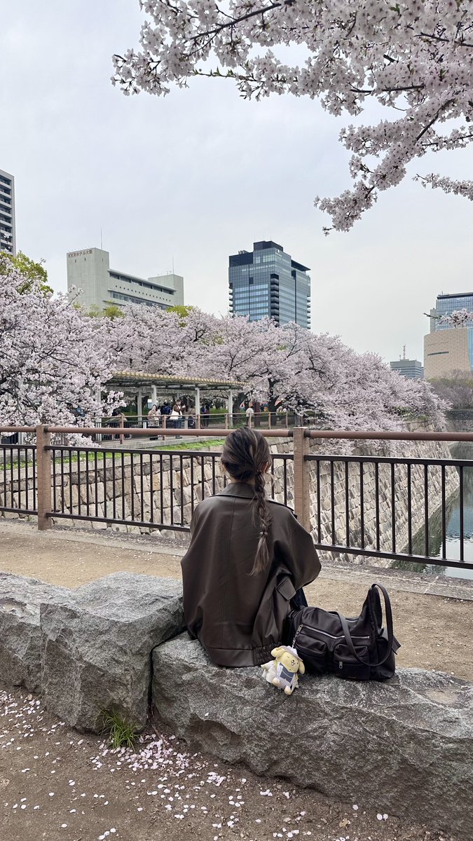 sonnykaneshiro's tweet image. japan dump 🌸 

#lucakaneshiro #sonnybrisko