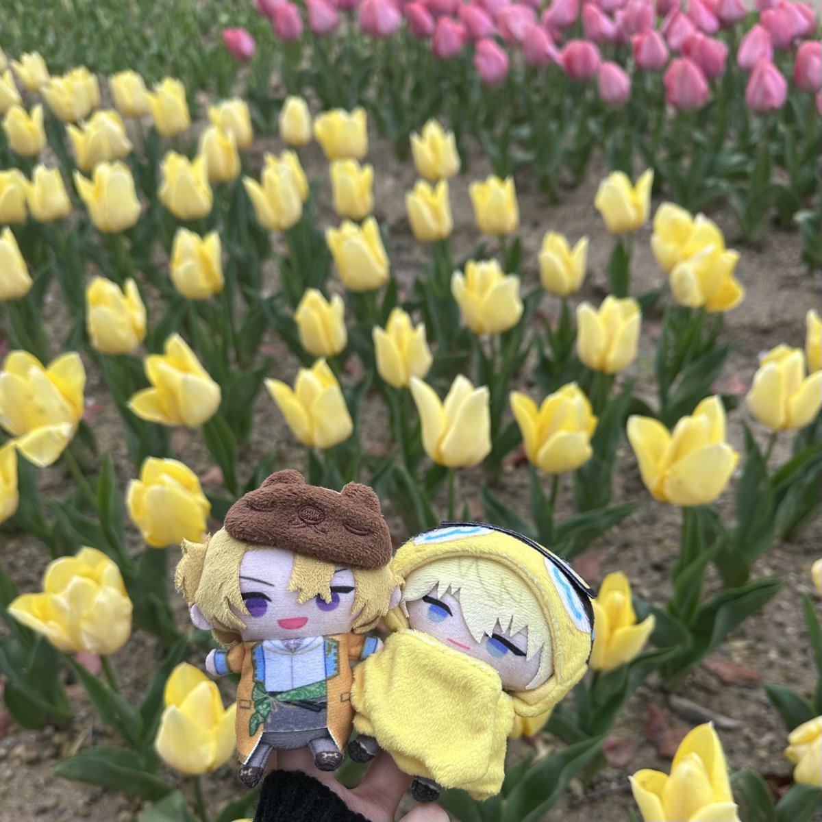 sonnykaneshiro's tweet image. japan dump 🌸 

#lucakaneshiro #sonnybrisko