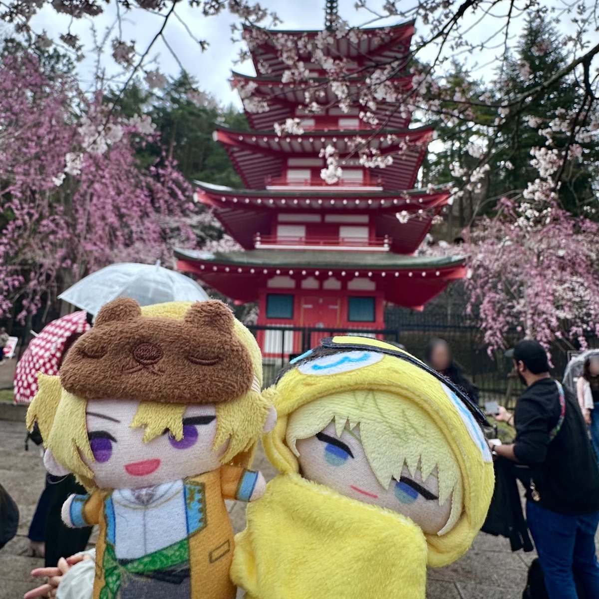 sonnykaneshiro's tweet image. japan dump 🌸 

#lucakaneshiro #sonnybrisko