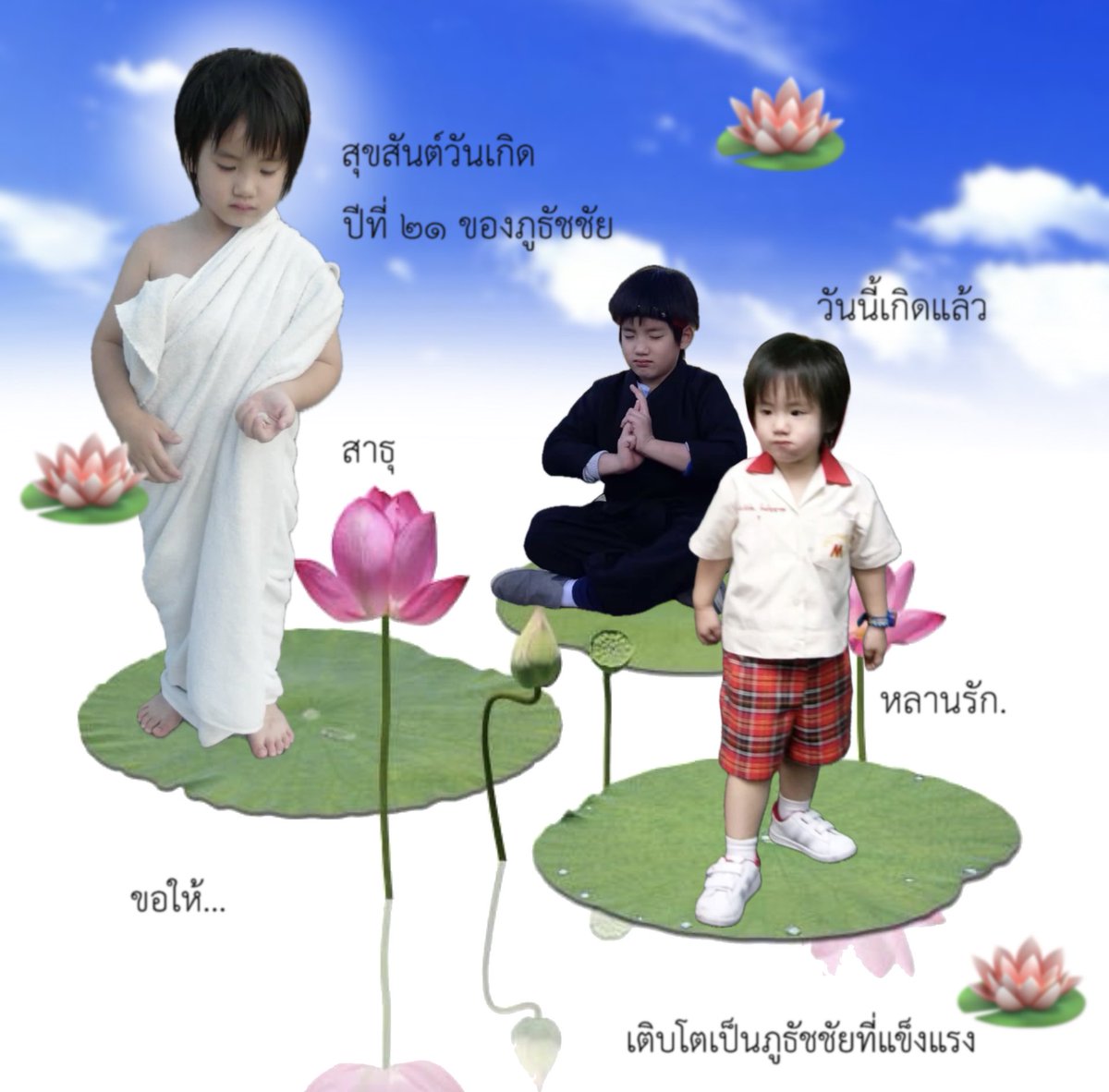 ชูมิ tweet media