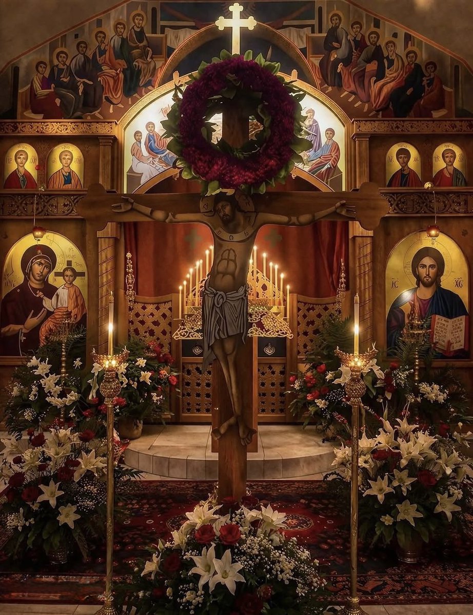 Maria Gronowski tweet media