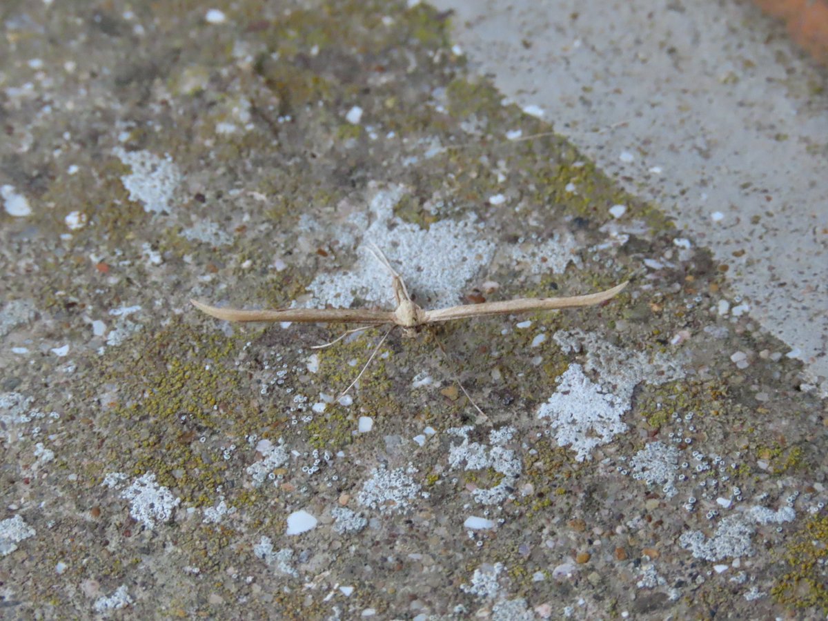 John Williams tweet media