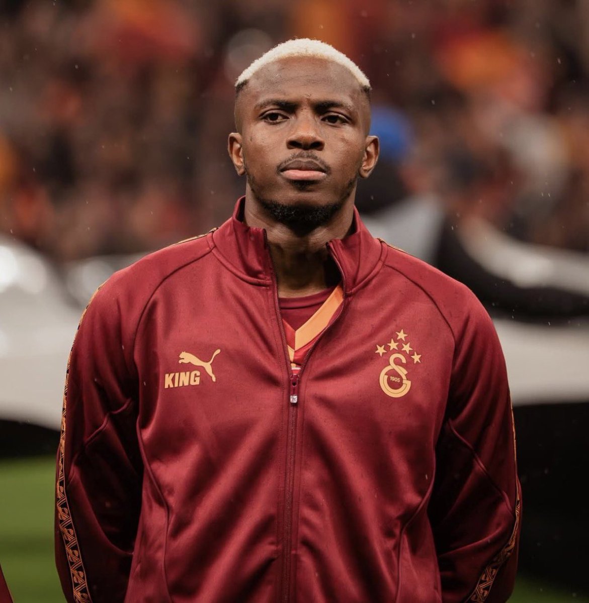 Berneese tweet media