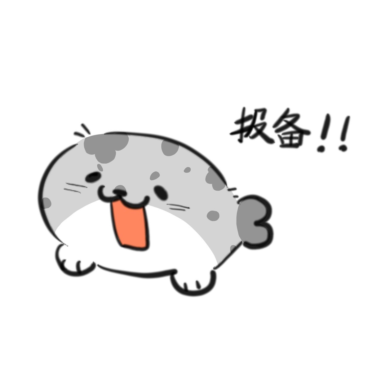 海豹豹 tweet media