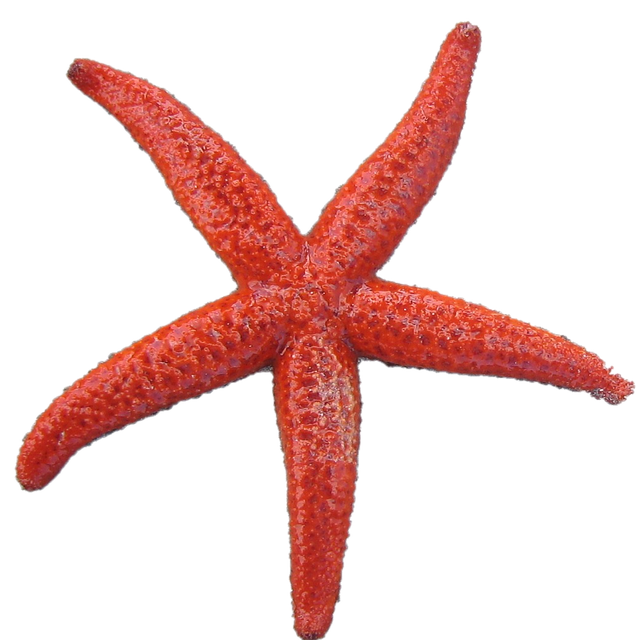 Heidi Rodriguez tweet media