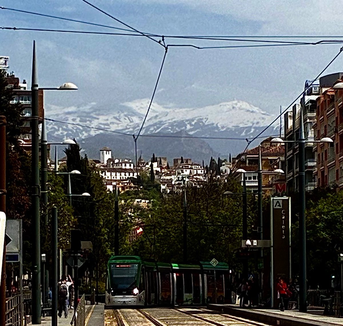 Gioconda is in shock | Джоконда в шоке tweet media