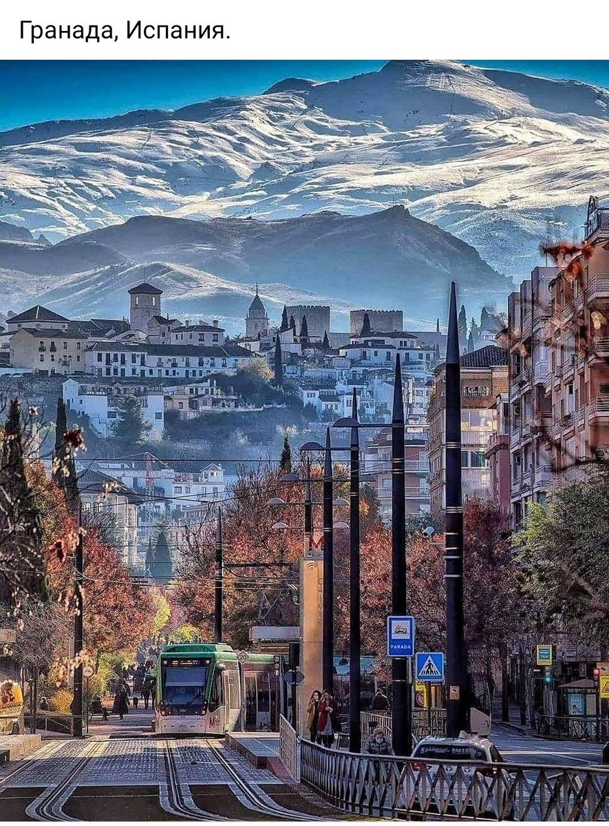 Gioconda is in shock | Джоконда в шоке tweet media