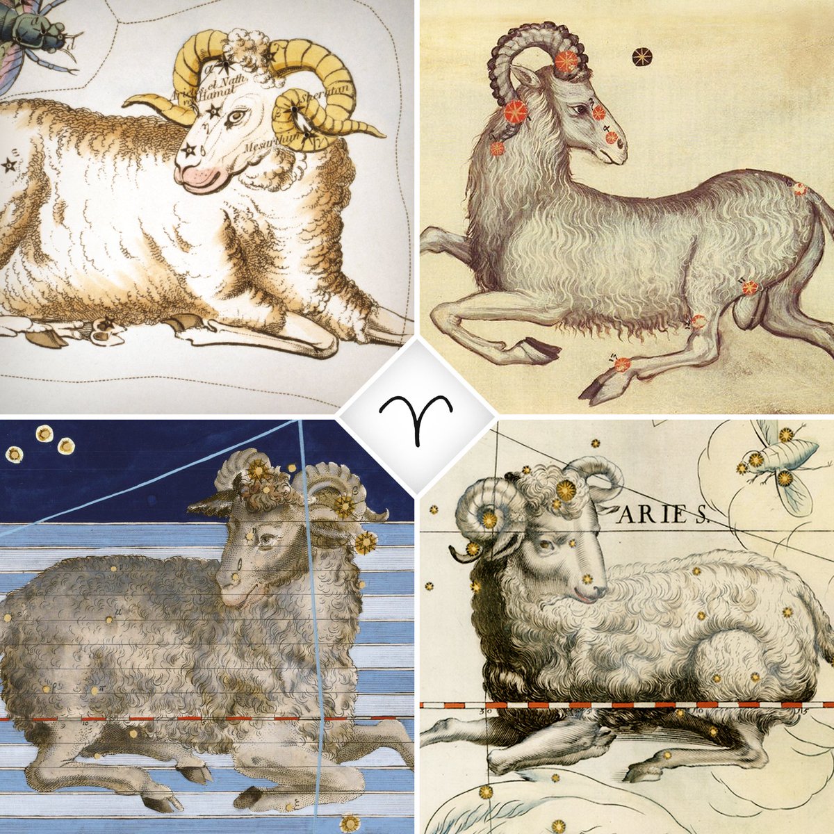 Symbolic Studies tweet media