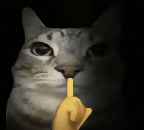 NumSkull🎭 tweet media