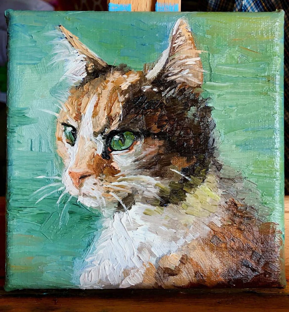 Selah 🇺🇸 tweet media