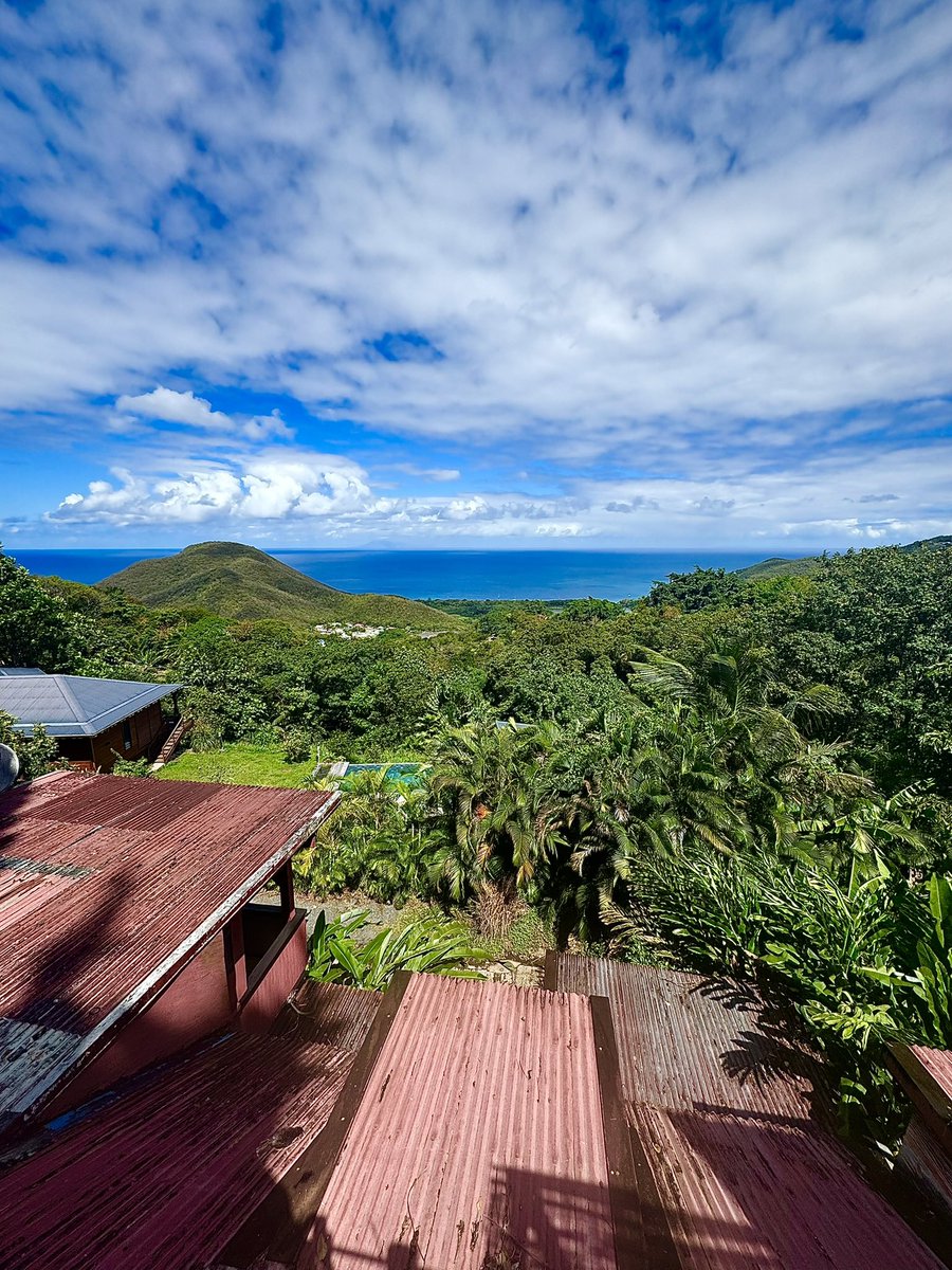 Duhautdemes44ans tweet media