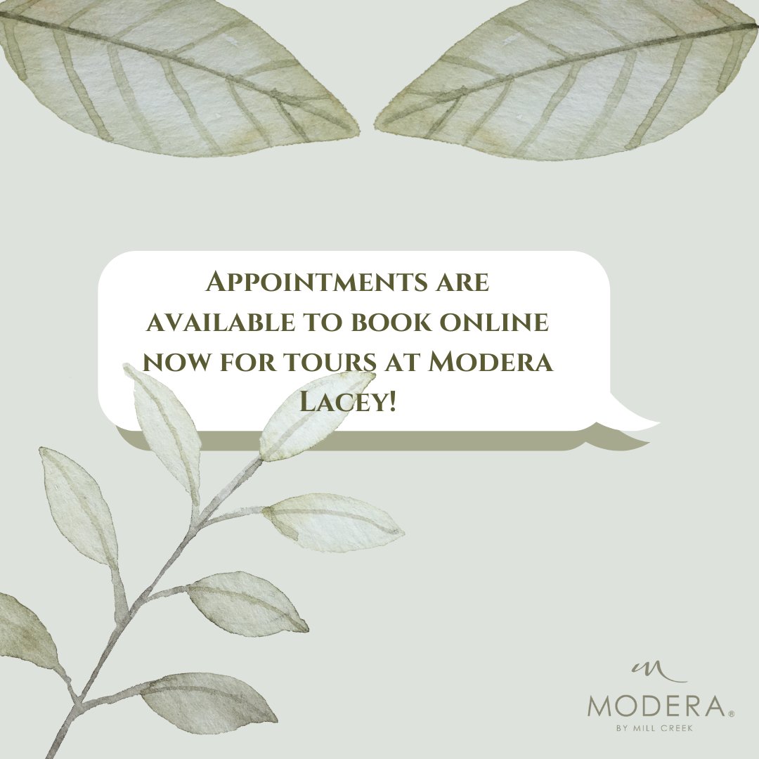 Modera Lacey tweet media