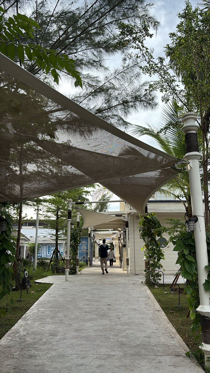 acha 🍵 tweet media