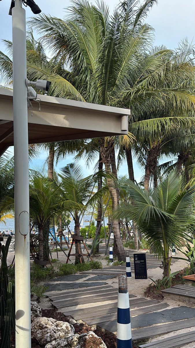 acha 🍵 tweet media