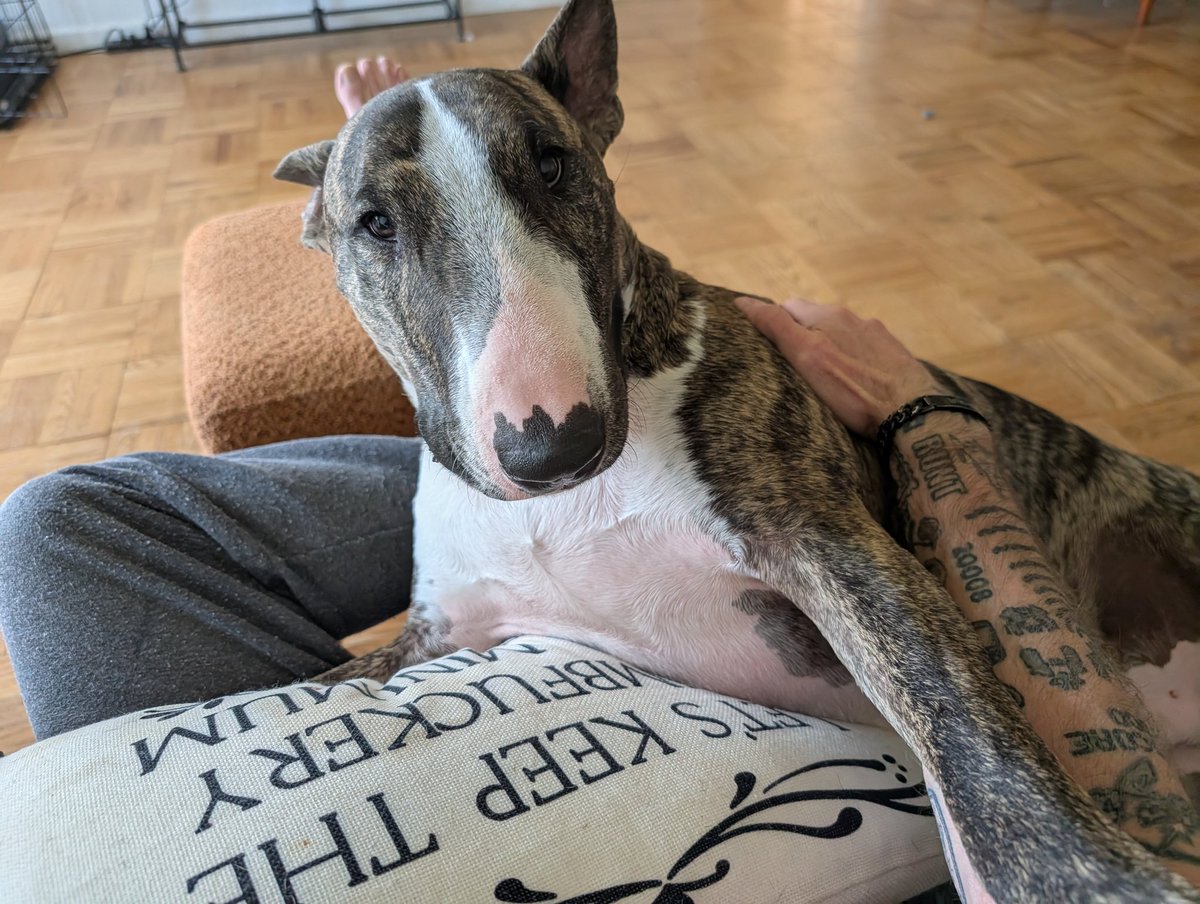 Goofy Foot 📏🌱♠️🕉❤️‍🩹🫟➕🐶 tweet media