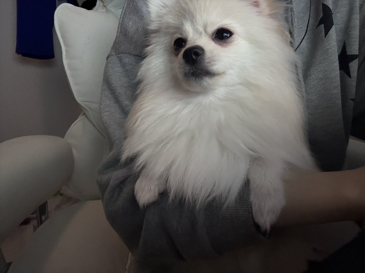 nvzez's tweet photo. https://t.co/hHwygibCsO