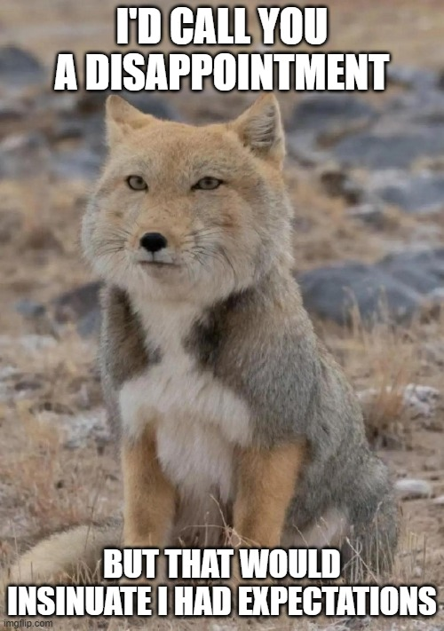 megaAnthony1's tweet photo. i have created a meme using the Tibetan fox. for everyones enjoyment. i simply channeled the energy i got from the face of the being https://t.co/1GALX07Rga