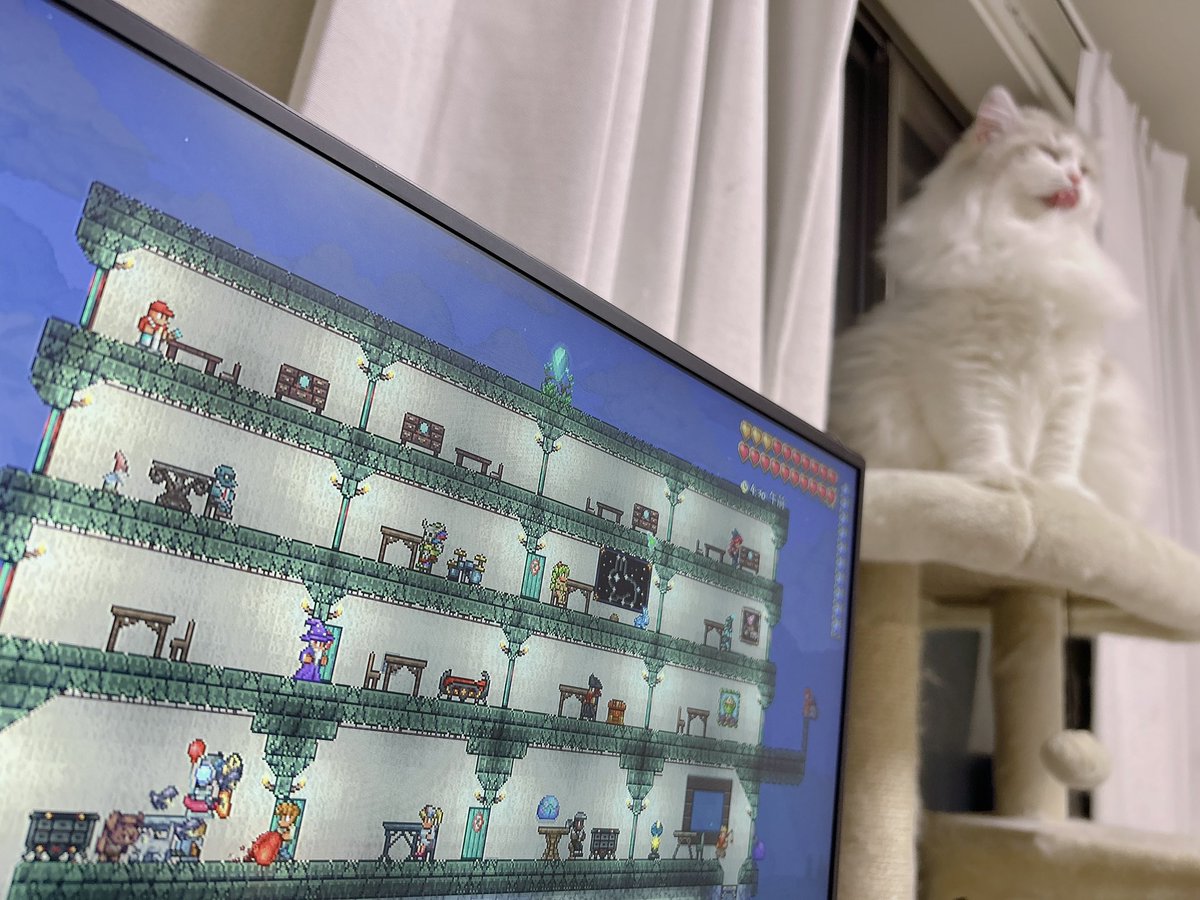 𝒏𝒂𝒐🛸 tweet media