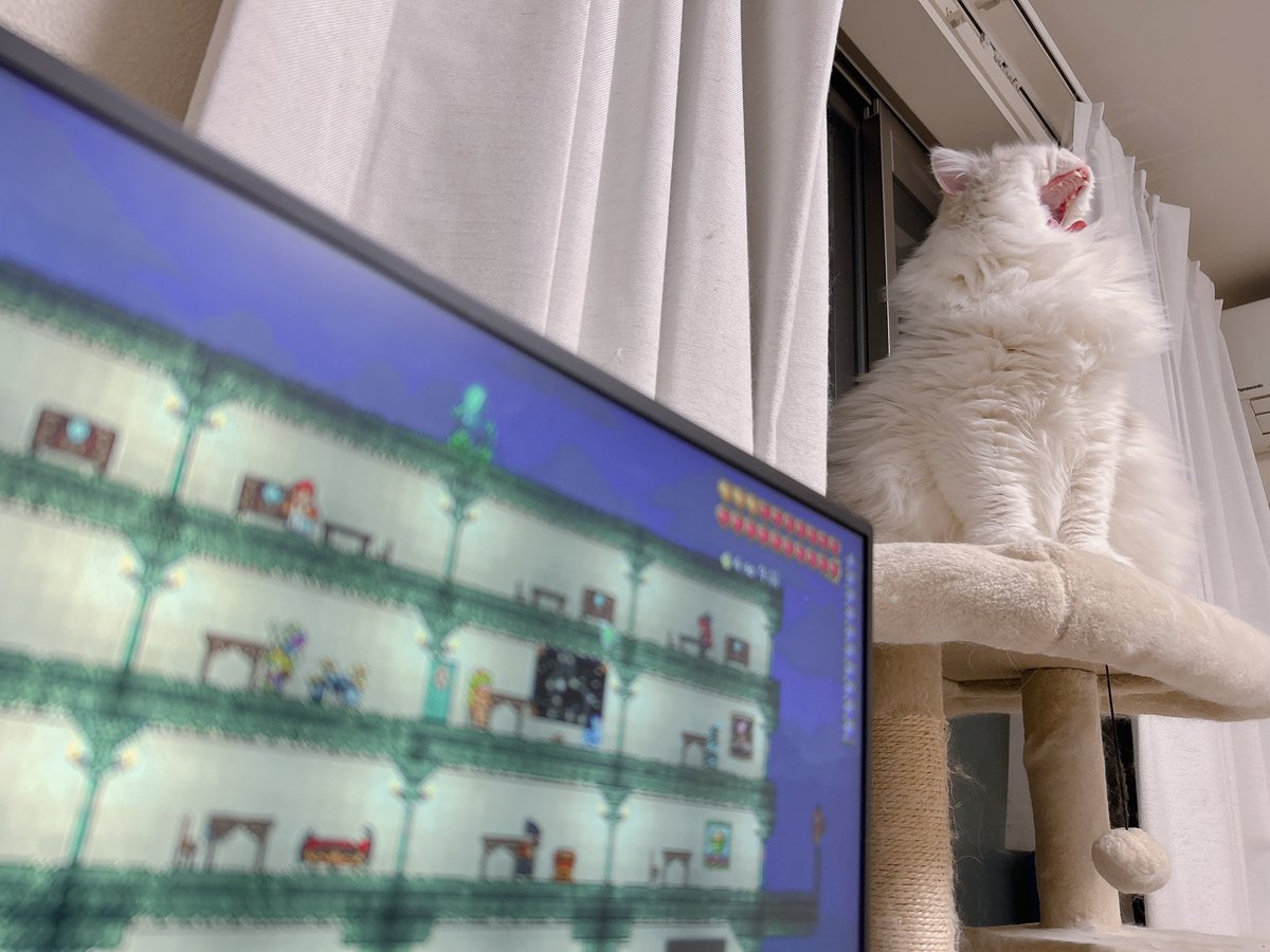 𝒏𝒂𝒐🛸 tweet media