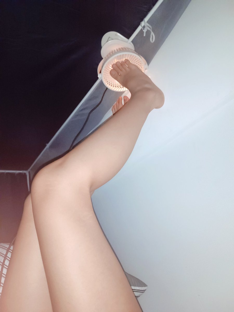 小猫大王 tweet media