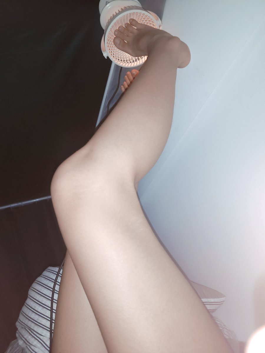 小猫大王 tweet media