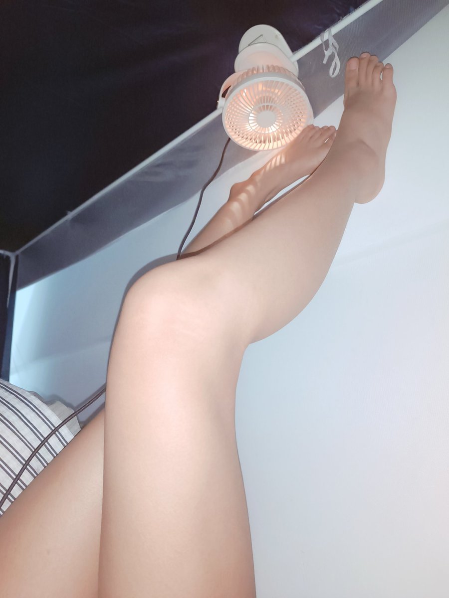 小猫大王 tweet media