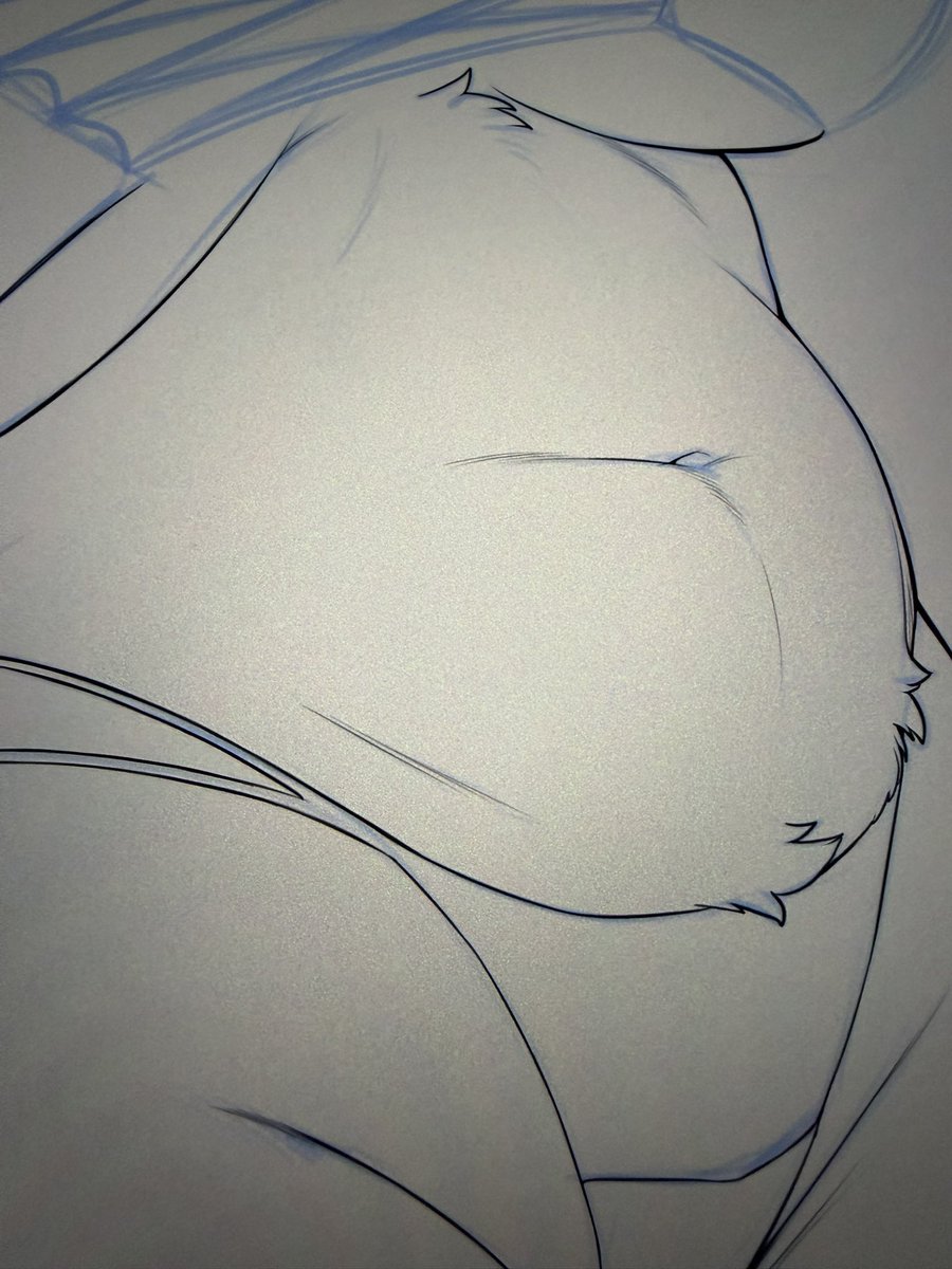 きいち🦥関西けもケF-04/miyubi tweet media