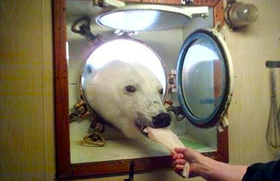 US Chemical Safety & Hazard Nonaffiliate tweet media