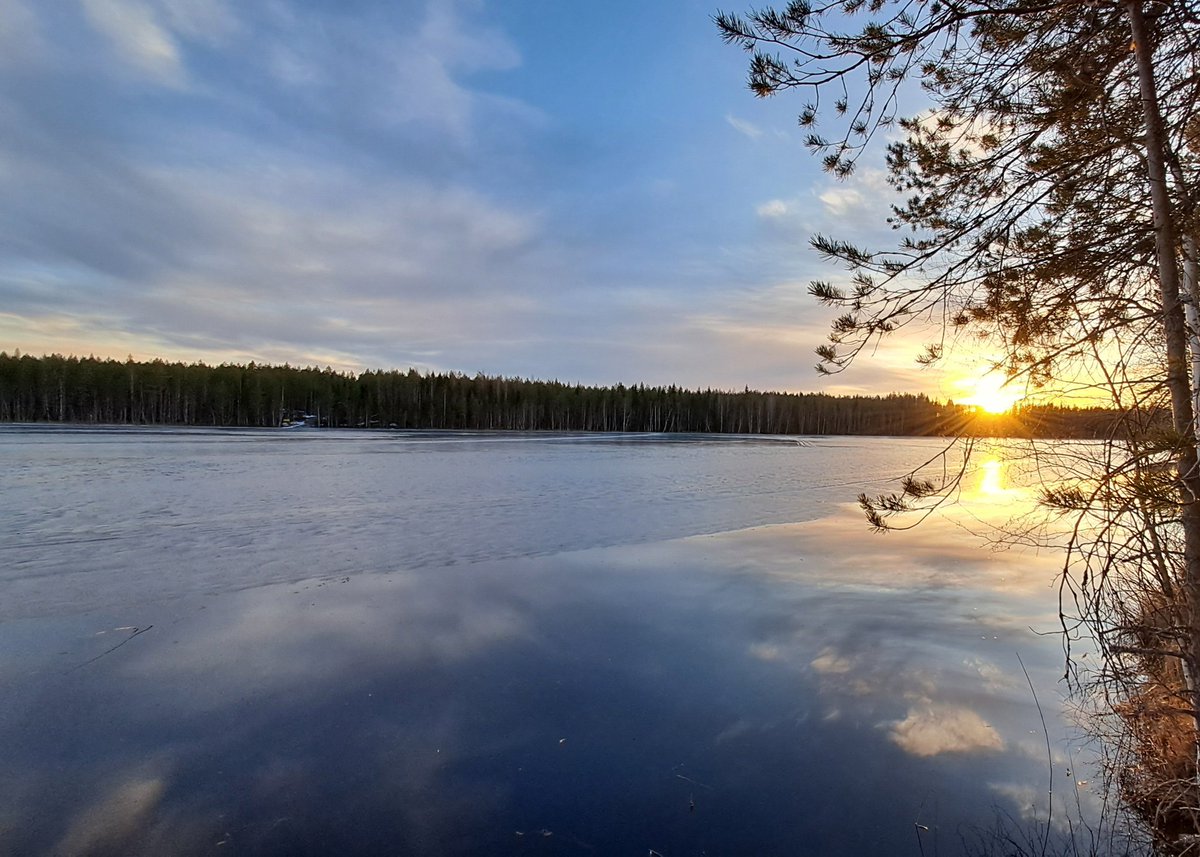 Hiltunen Ari tweet media