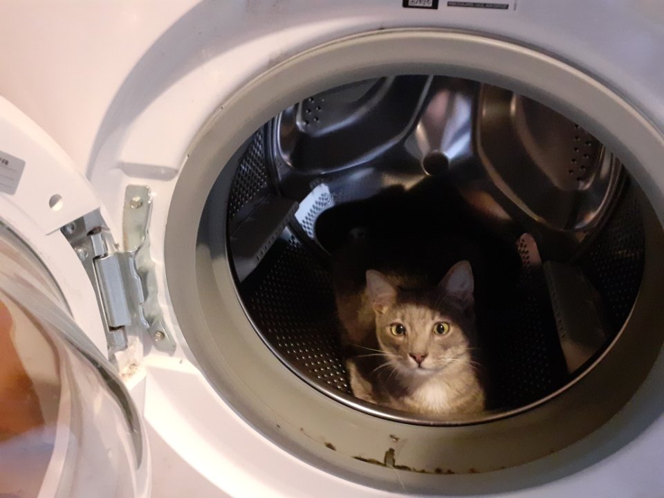 Daft ワラス tweet media