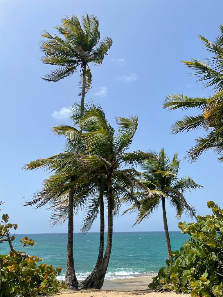 nobia ❦ tweet media