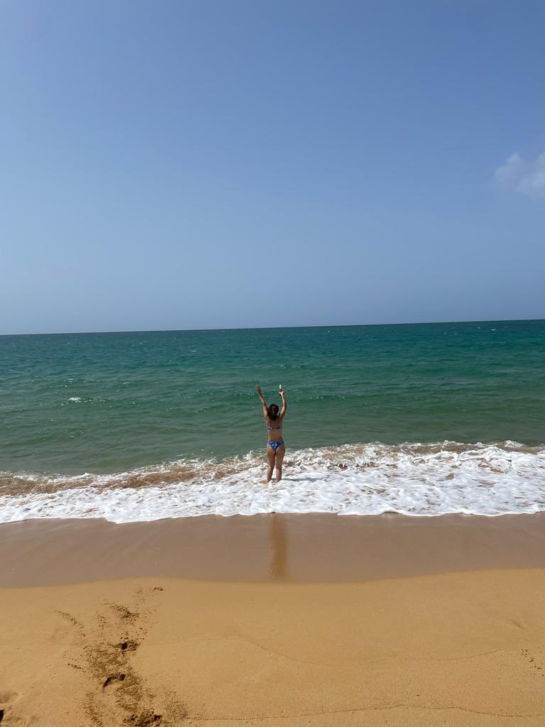 nobia ❦ tweet media