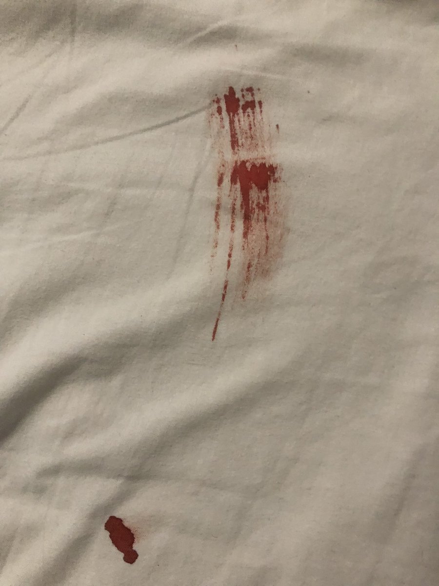 vani 🐛 shedtwt tweet media