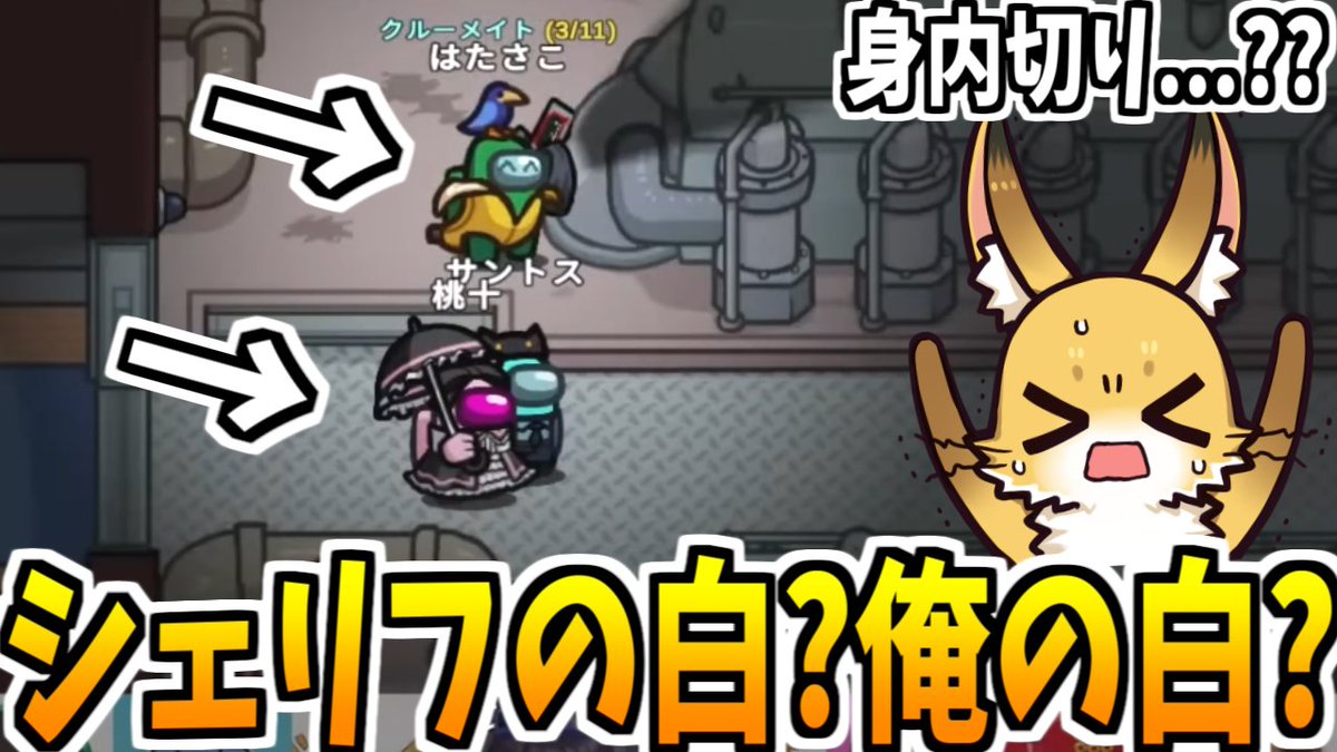 はたさこ🚩🦊 tweet media
