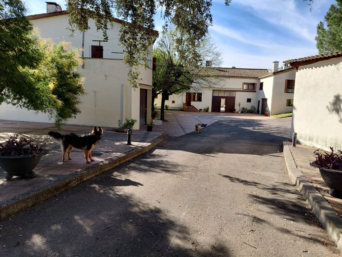 La Caçadora de Masies tweet media