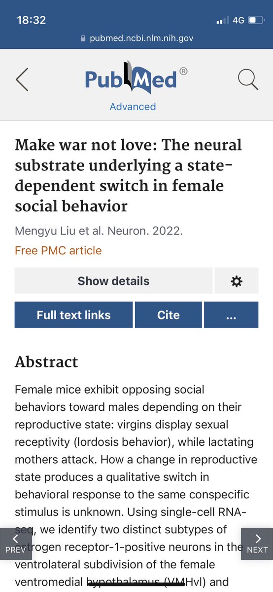 DELİ Hasan 📿𒂊🦈🧱 tweet media