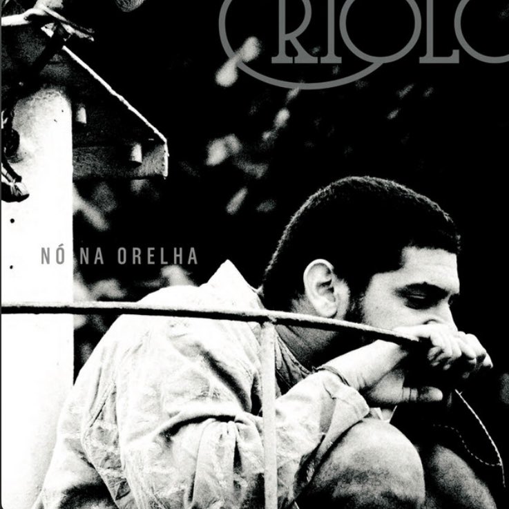 marcelo d2 geladeira tsunami dadaísta tweet media