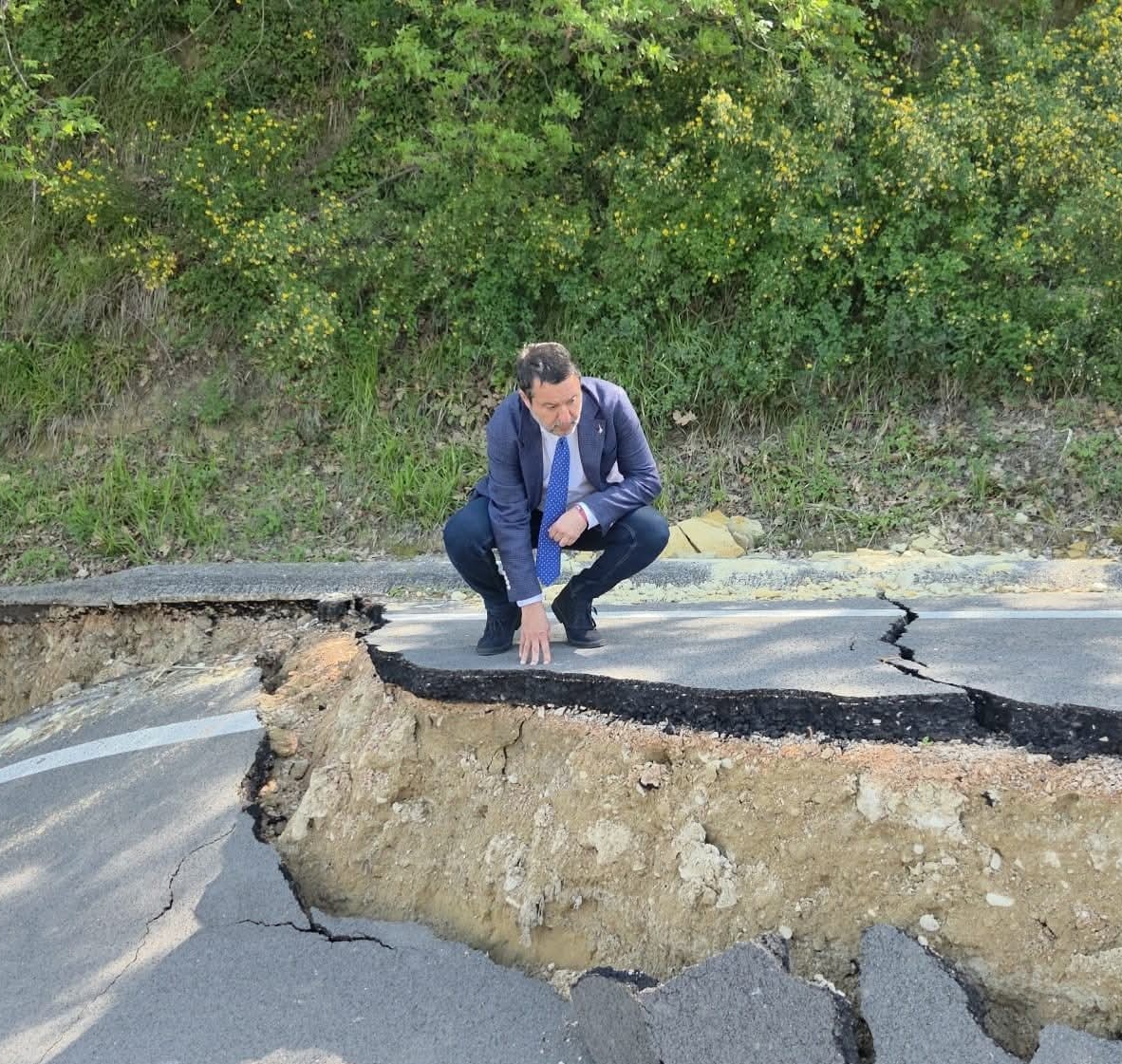 Marco Vassalotti tweet media