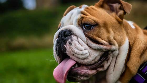 Barstool Sports tweet media