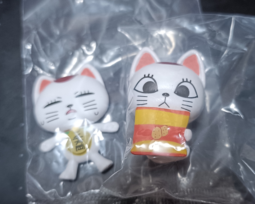 プケッ卜(🌴) tweet media